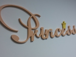 Метрика Princess